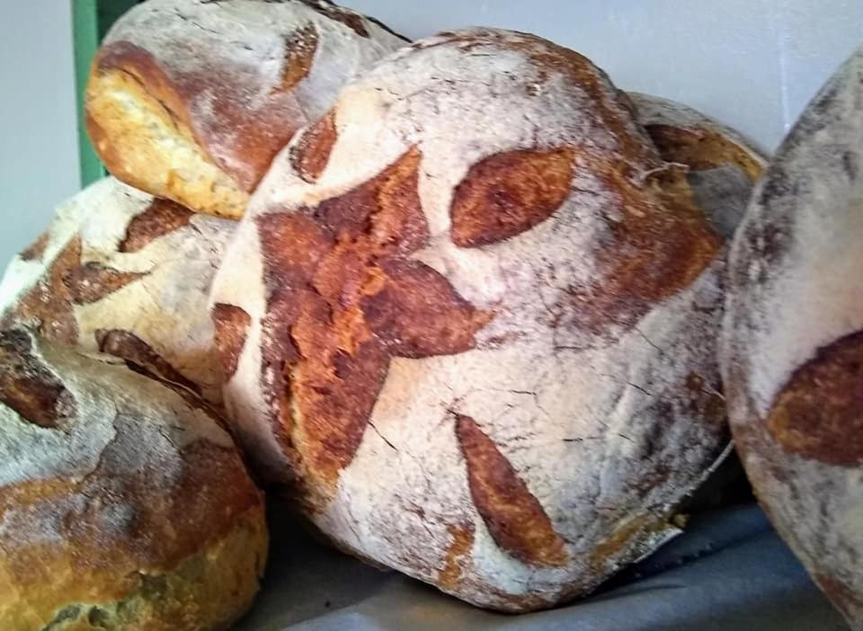The Bear Bread Bakery B&B, Ensuite Rooms Above The Bakery, Colyton Экстерьер фото
